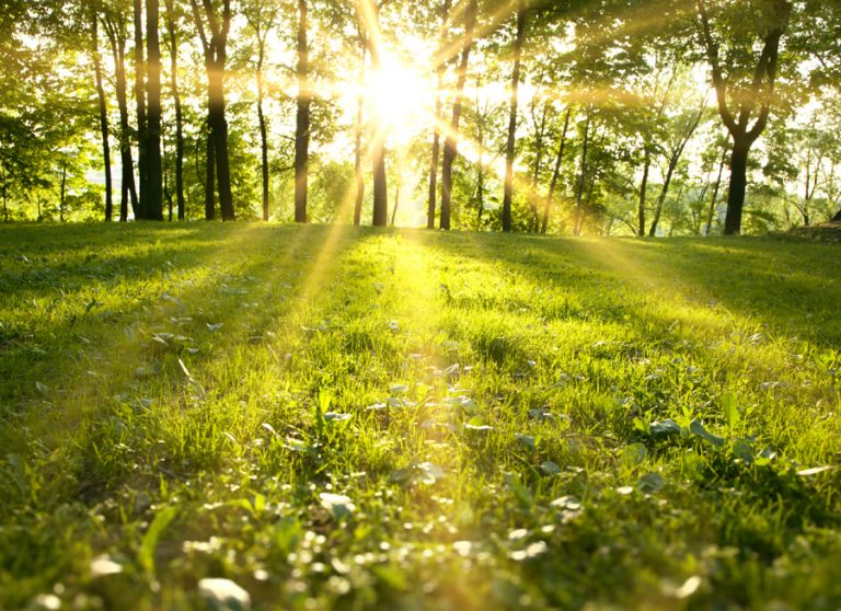 sunlight-in-your-home