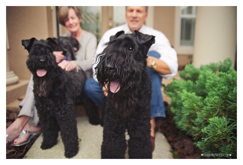 Wesley Chapel Pet Session | They Make Our Lives Whole