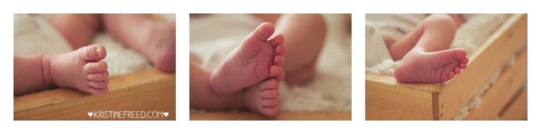 land-o-lakes-lifestyle-newborn-pictures-31515-002