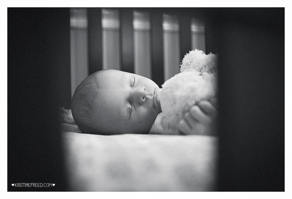 Land O Lakes FL Lifestyle Newborn Session | The Beginning of All Things