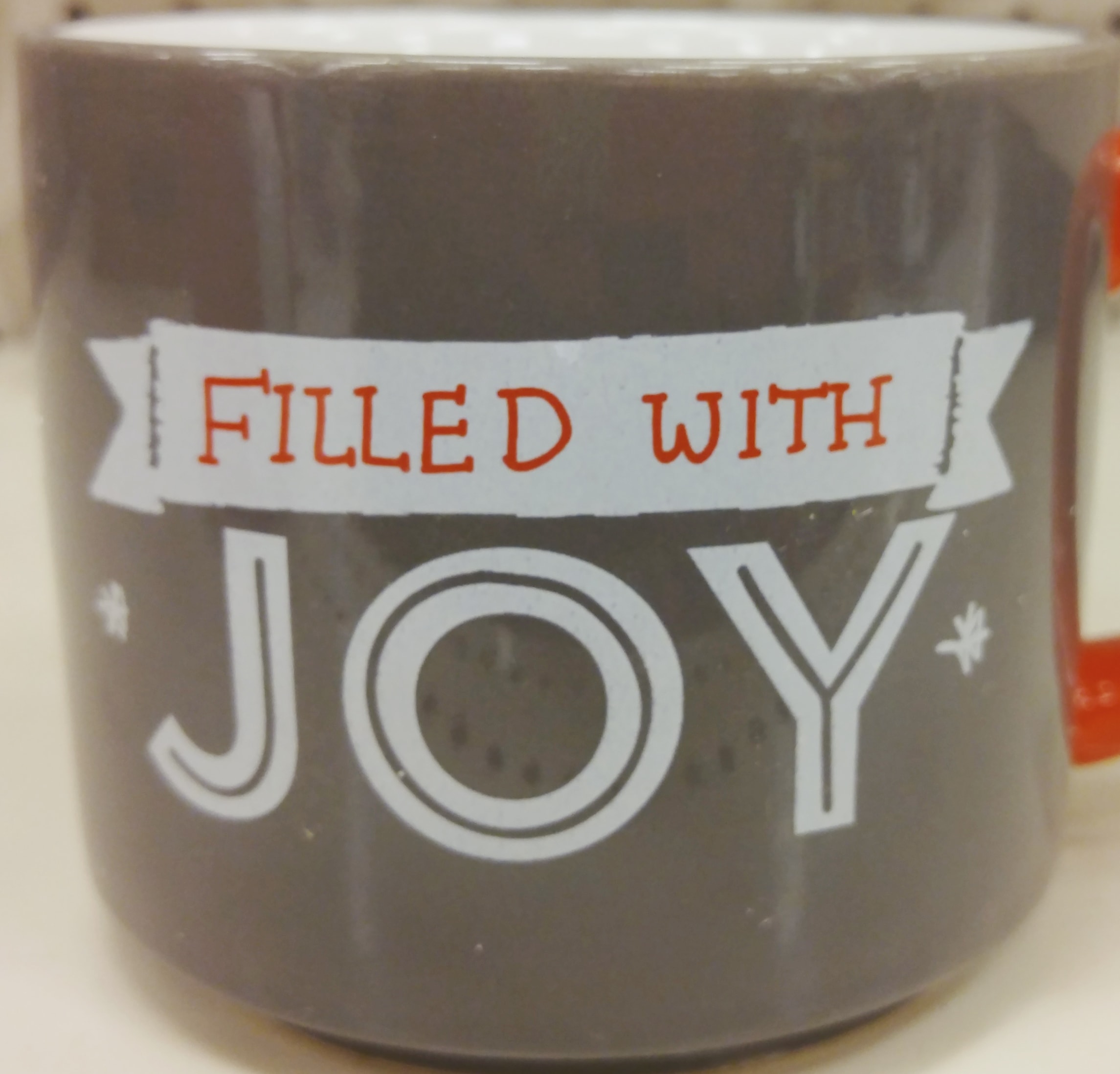 Tampa FL 2015 Holiday Limited Edition Sessions | Cozy Up For Christmas