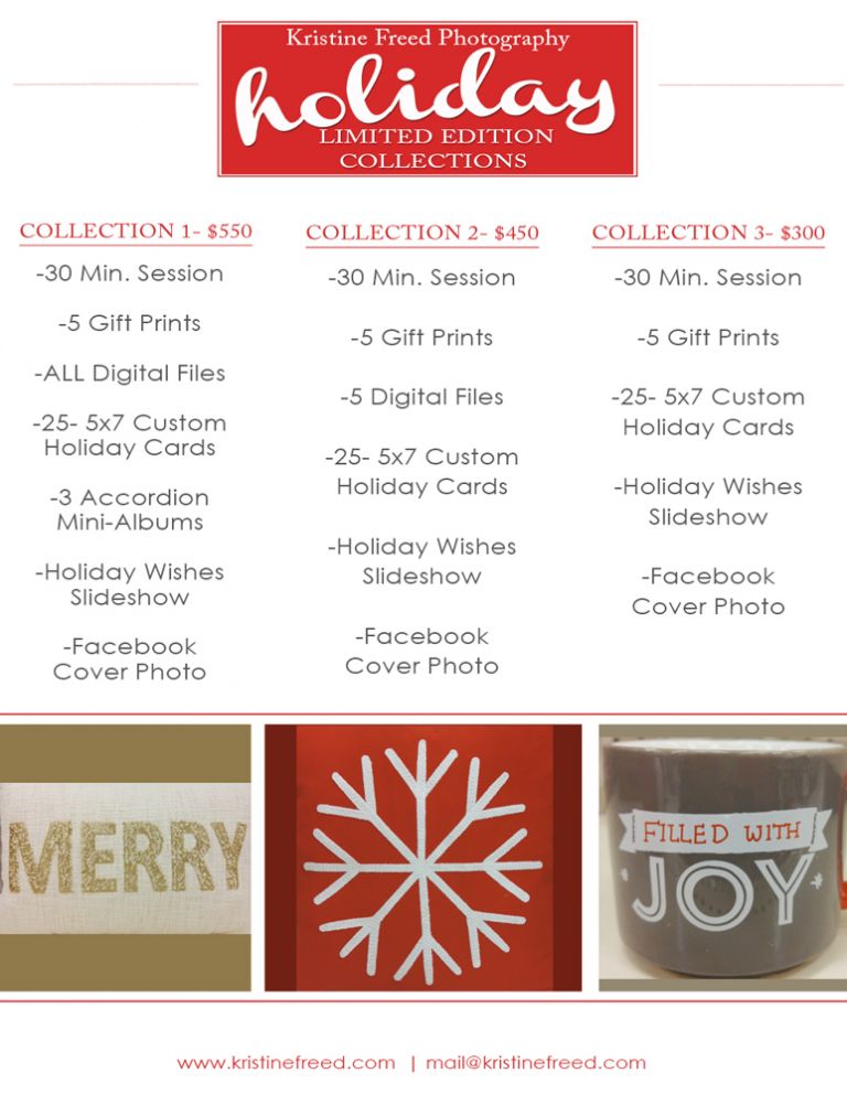 Tampa FL 2015 Holiday Limited Edition Sessions