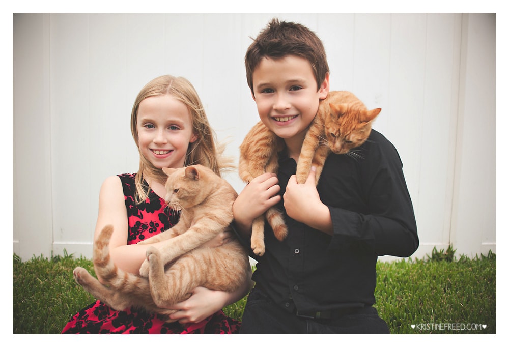 South Tampa Extended Family Holiday Mini Session