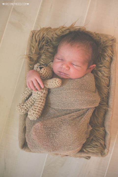 newborn photo shoot, sleeping with teddy bear, Kristine Freed Photography