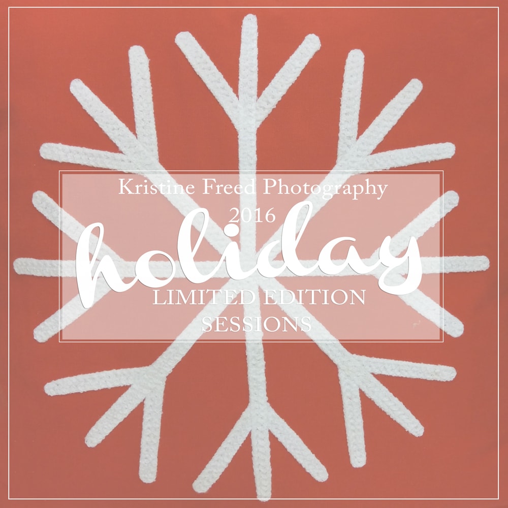 Tampa Holiday Limited Edition Sessions 2016