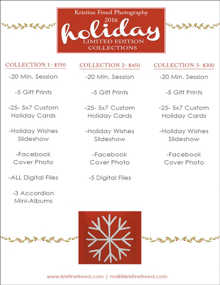 Tampa-Holiday-Limited-Edition-Sessions-2016- Kristine Freed Photography