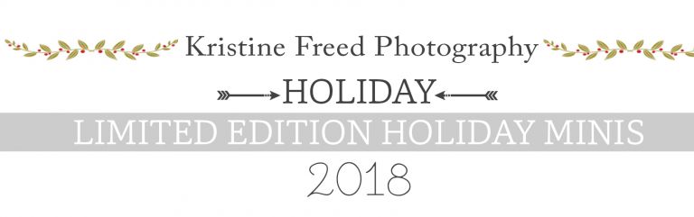 Tampa Holiday Mini Sessions 2018, Kristine Freed Photography