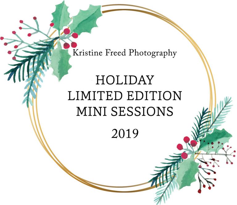 Tampa Holiday Mini Sessions 2019, Kristine Freed Photography