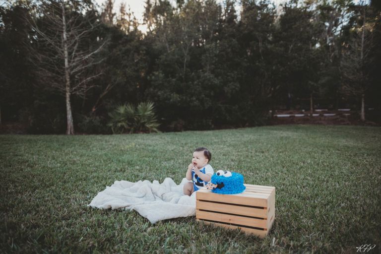 First Birthday Cake Photos, Kristine Freed Photography