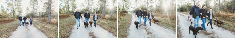 outdoor family shoot with dogs